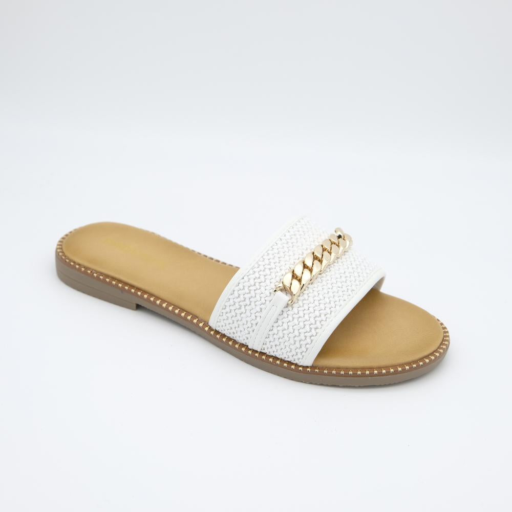 02666_8|ae5ac2dfe7ab491f491b1c77383235a2